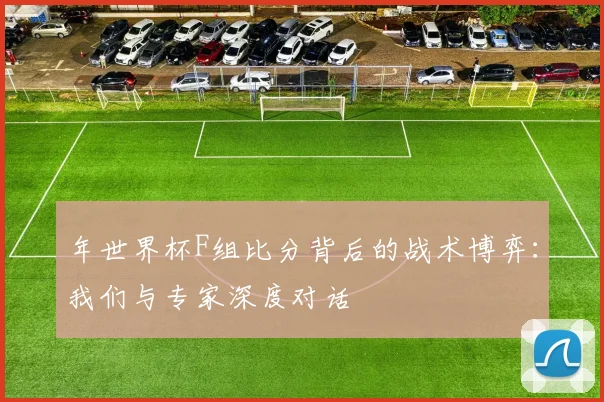 年世界杯F组比分背后的战术博弈：我们与专家深度对话