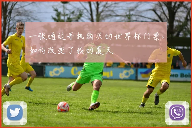 一张通过手机购买的世界杯门票，如何改变了我的夏天