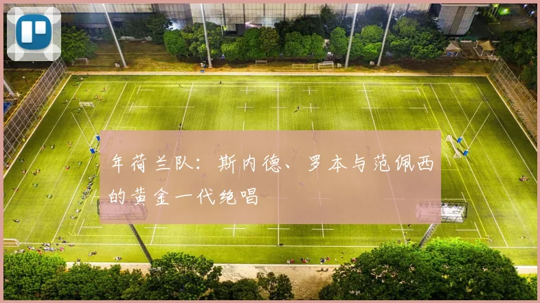 年荷兰队：斯内德、罗本与范佩西的黄金一代绝唱