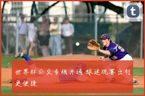 世界杯公交专线开通 球迷观赛出行更便捷