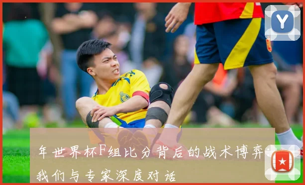 年世界杯F组比分背后的战术博弈：我们与专家深度对话