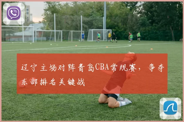 辽宁主场对阵青岛CBA常规赛，争夺东部排名关键战