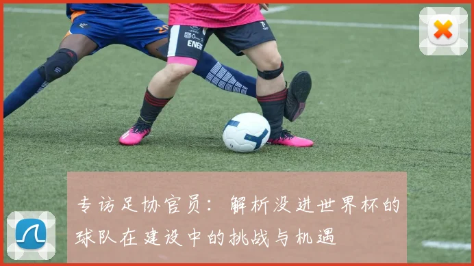 专访足协官员:解析没进世界杯的球队在建设中的挑战与机遇
