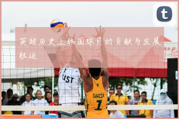 英超历史上韩国球员的贡献与发展轨迹