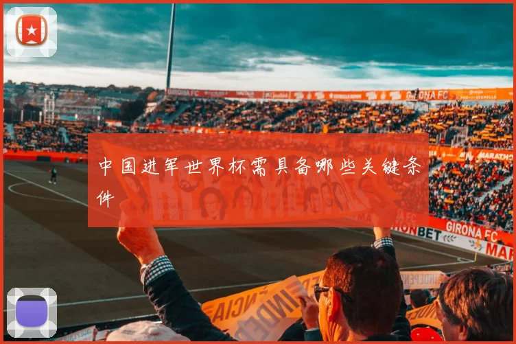 中国进军世界杯需具备哪些关键条件
