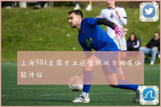 上海NBA乐园开业运营现状与游客体验评估