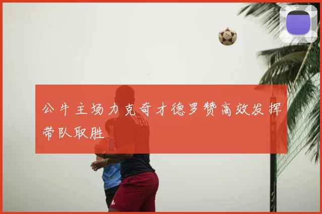 公牛主场力克奇才德罗赞高效发挥带队取胜