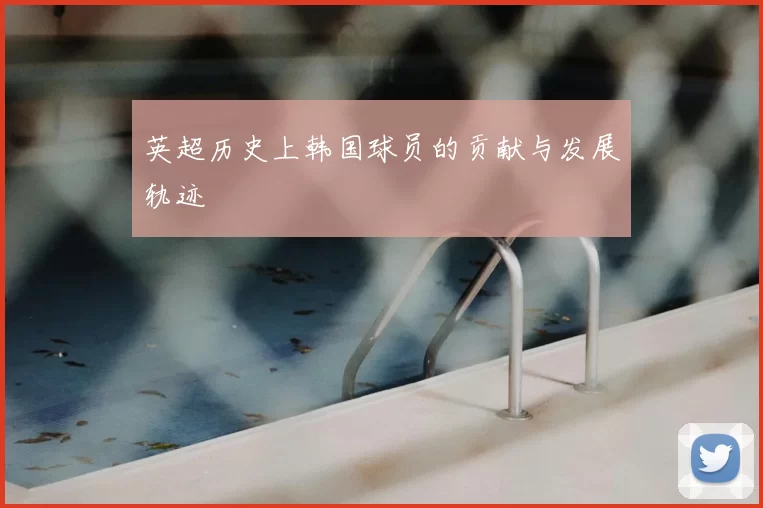 英超历史上韩国球员的贡献与发展轨迹