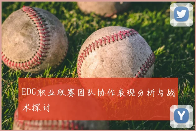 EDG职业联赛团队协作表现分析与战术探讨