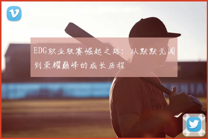 EDG职业联赛崛起之路：从默默无闻到荣耀巅峰的成长历程