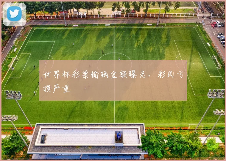 世界杯彩票输钱金额曝光，彩民亏损严重