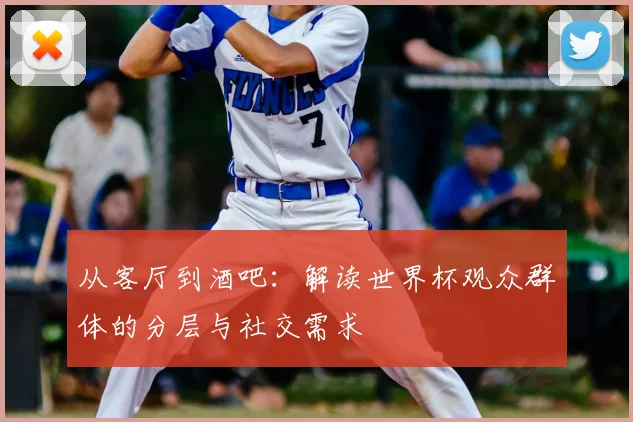 从客厅到酒吧：解读世界杯观众群体的分层与社交需求