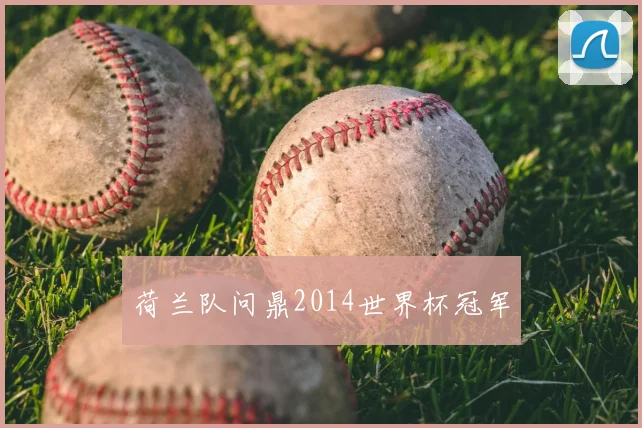 荷兰队问鼎2014世界杯冠军