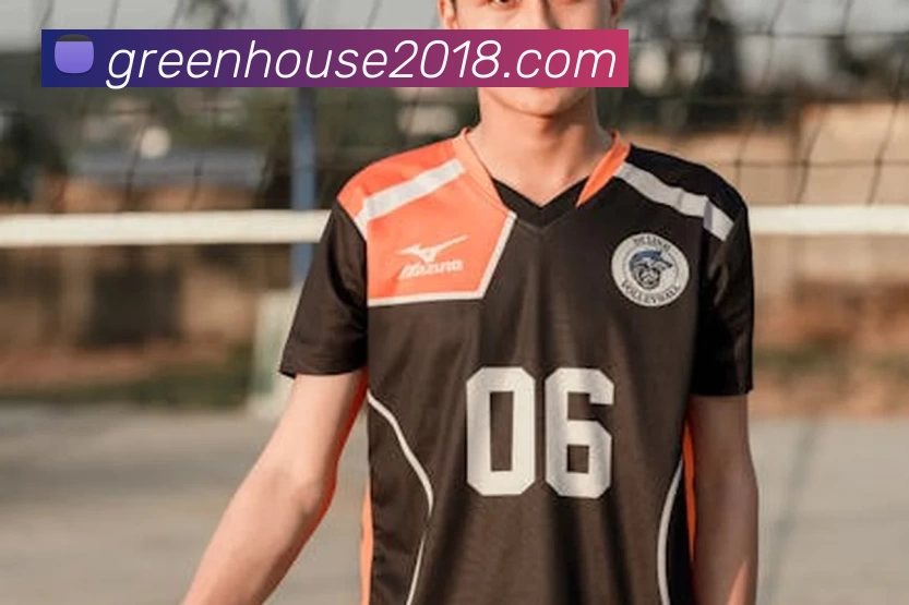 App Interface Preview