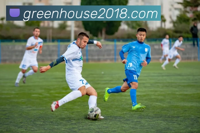 爱游戏官网APP 封面图